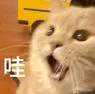 趕緊收藏！鐵路購(gòu)票、退票、改簽、訂餐、乘車(chē)注意事項(xiàng)等都在這里啦！